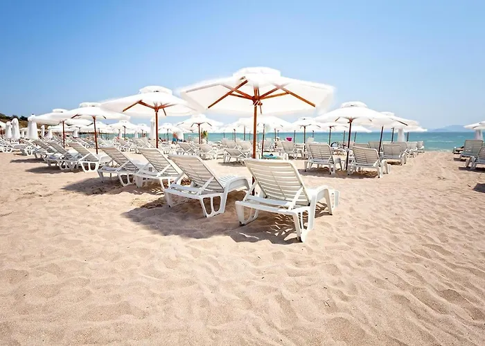 Violeta - With Sea View In 1st Line Sarafowo Διαμέρισμα *