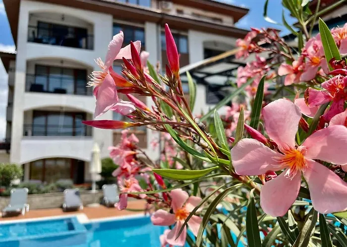 Violeta - With Sea View In 1st Line Sarafowo Апартамент